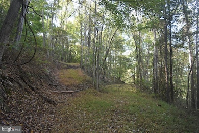 2083 Clay Pits Ln, Great Cacapon, WV 25422 - photo 7