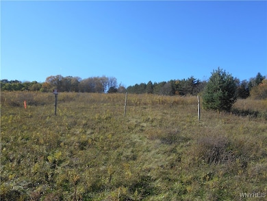4738 Roszyk Hill Lot #1 Rd, MacHias, NY 14101 - photo 6
