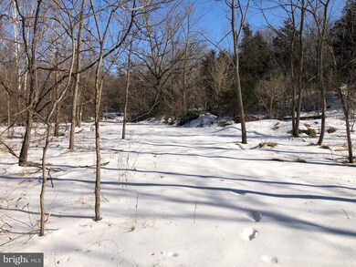 0 Riding Chapel Rd unit VAWR2002012, Stephens City, VA 22655 - photo 2