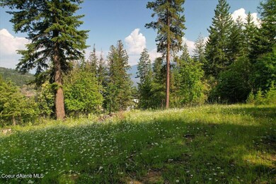 699 Midas Dr, Sagle, ID 83860 - photo 4