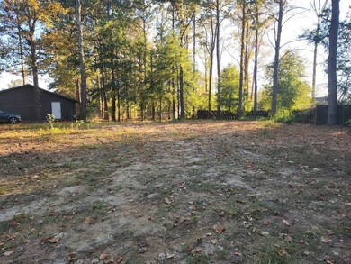 329 Chapelwood Dr, Dothan, AL 36305 - photo 3