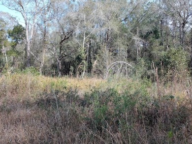 00 E Hwy 316, Fort McCoy, FL 32134 - photo 5