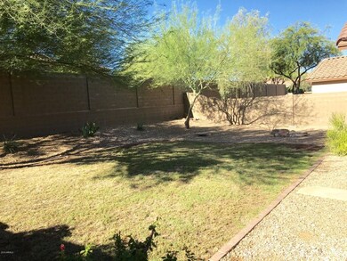 Backyard 2
