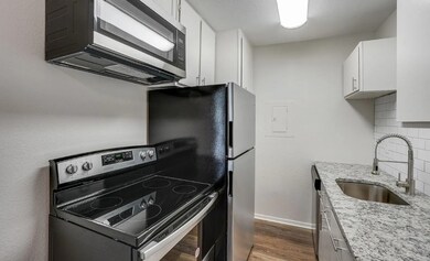 1105 Uta Blvd unit 102, Arlington, TX 76013 - photo 3