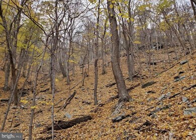 0 Stoney Run Rd, Moorefield, WV 26836 - photo 3