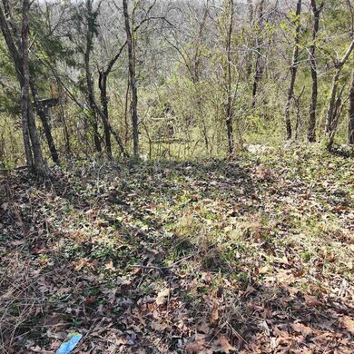 L-3, B-24 Algonquin Cir, Cherokee Village, AR 72529 - photo 4