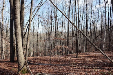 423 Hadley Rd, Stony Creek, NY 12878 - photo 2