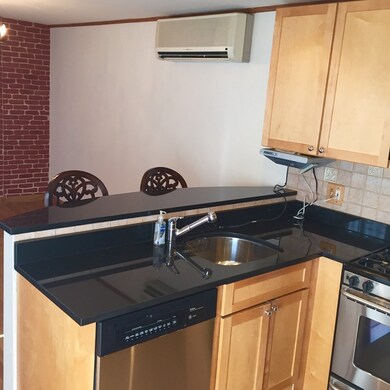 21 Monument Ct unit 1, Boston, MA 02129 - photo 4