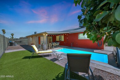 Pool & back yard
