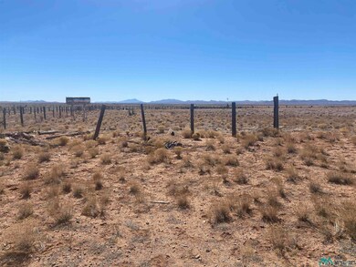 261-260 Warren Rd, Separ, NM 88061 - photo 4