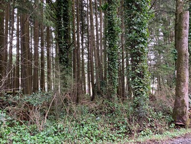 TL1100 SW Bard Rd, Lincoln City, OR 97367 - photo 2