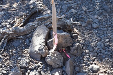 30219004b N Francis Ln, Ash Fork, AZ 86320 - photo 7