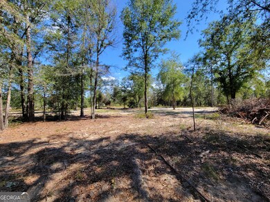 22 Meadowlark Ln, Twin City, GA 30471 - photo 5