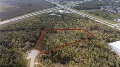 33726 Blue Marlin Dr, Richwood, TX 77515 - photo 5