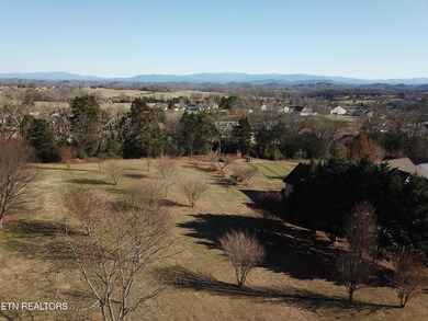 DJI_0041