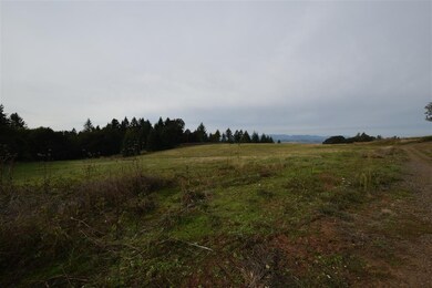 6011 Bethel Heights Rd NW, Salem, OR 97304 - photo 4