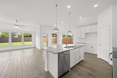 10304 Dittany Ln, Fort Worth, TX 76036 - photo 6