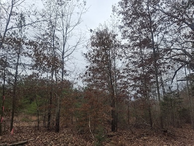 0 0 Indian Pipe Run, Palmyra, VA 22963 - photo 4