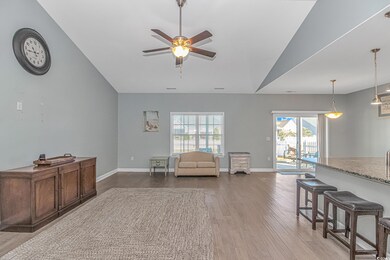 Living area featuring ceiling fan, a healthy amoun