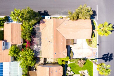 DJI_0599
