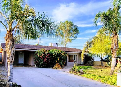 Front Yard