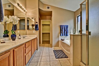 Master Bathroom 1