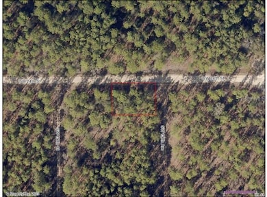 0 SW 158th Ave unit MFROM675640, Ocala, FL 34481 - photo 3