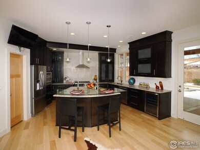 Gourmet Designer Kitchen