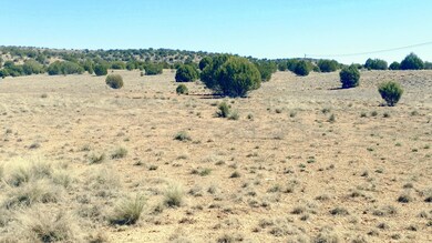 0 W Prescott Ranch Rd unit 1019858, Paulden, AZ 86334 - photo 5