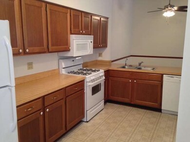 536 Fessler Ave, Naperville, IL 60565 - photo 6