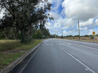 0 Doyle Rd unit MFRO6265020, Osteen, FL 32764 - photo 4