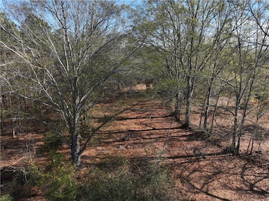 2821 State Road S-4-108, Anderson, SC 29624 - photo 5