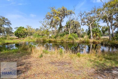 LOT 9 Bermuda Bluff Ln, Midway, GA 31320 - photo 5