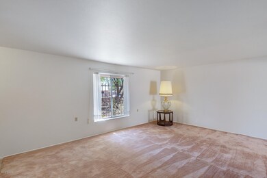 Spacious Living Room