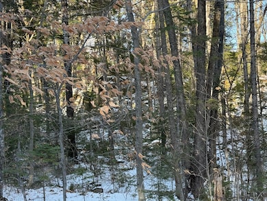 R6L9 Dickey Mills Rd, Avon, ME 04966 - photo 5