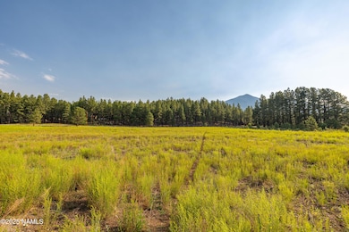 9199 Ranch at the Peaks Way, Flagstaff, AZ 86001 - photo 4