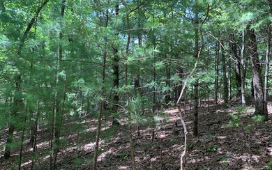 LT 10 Dover Highlands Trail, Ellijay, GA 30540 - photo 4