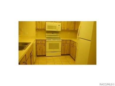 unlisted-address, Homosassa, FL 34446 - photo 2