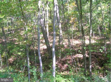 2859 Charles St, Fallston, MD 21047 - photo 4