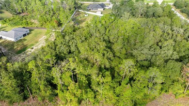 00 SW 92nd Ln, Liberty Triangle, FL 34476 - photo 5