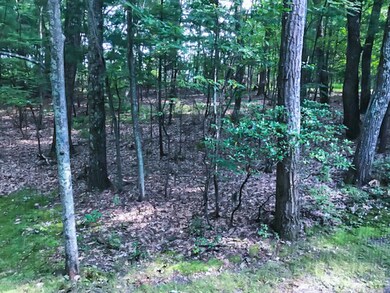 7517 Mountain Ln, Stroudsburg, PA 18360 - photo 4