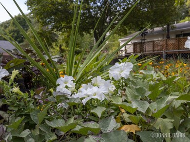 220 N Division St, Lowell, MI 49331 - photo 4