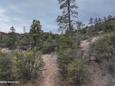 2022 Shannon Ln, Prescott, AZ 86305 - photo 6