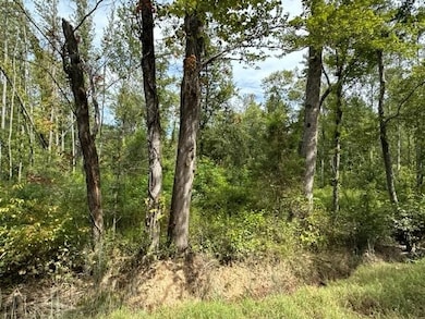 View of wooded area