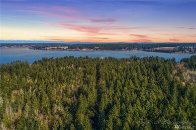 0 Otso Point Rd unit 1609342, Anderson Island, WA 98303 - photo 6