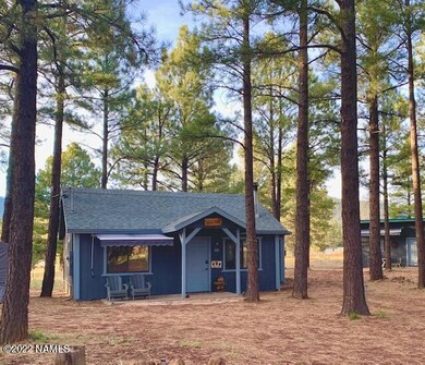 Cabin and Studio