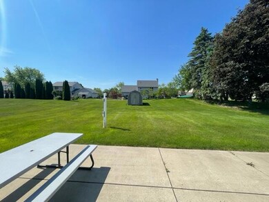 Backyard 1