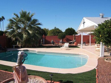 Oversized backyard
