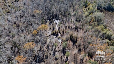 xx1 Seay Rd, Cottondale, FL 32431 - photo 6