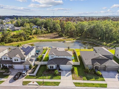 18196 Porfirio Place, Spring Hill, FL 34610 - photo 4